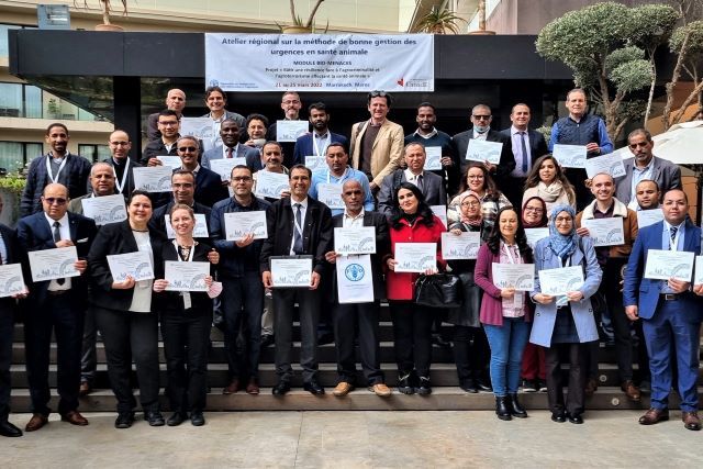 Participants gather for a GEMP-BT workshop in Marrakech thanks to funding from Global Affairs Canada Photo credit. ©FAO.